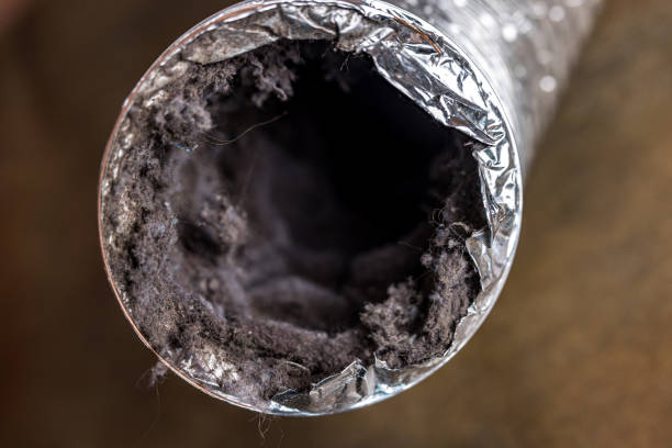 Air Duct Mold Removal in CA